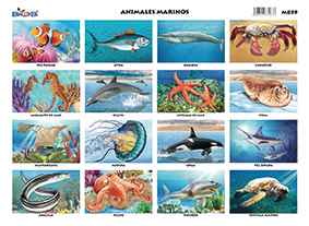 M859 Animales marinos - 16 figuras (25 pzas)
