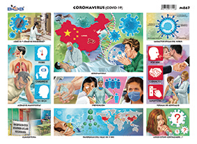 M867 Coronavirus (25 pzas)