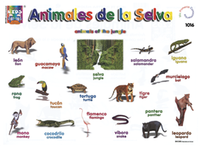 DK1016 Animales de la selva (25 pzas)