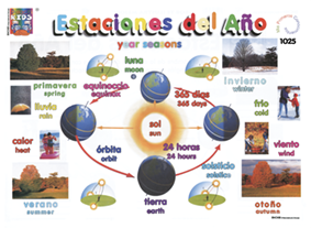 DK1025 Las cuatro estaciones del año (25 pzas)