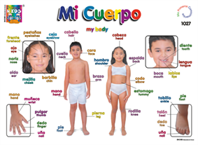 DK1027 Mi cuerpo (25 pzas)