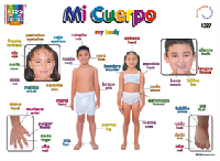 DK1027 Mi cuerpo (25 pzas)