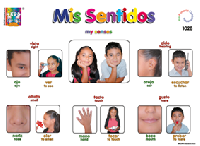 DK1028 Mis sentidos (25 pzas)