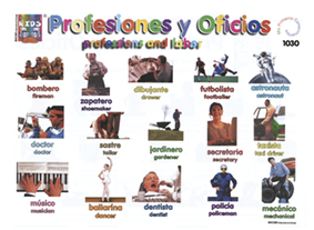 DK1030 Profesiones y oficios (25 pzas)
