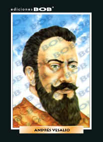 BG1033 Vesalio, Andrés (50 pzas)