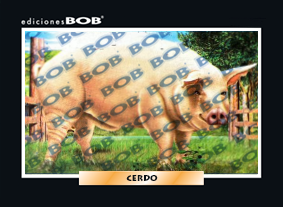 RV002 Cerdo (50 pzas)