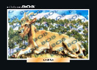 RV004 Cabra (50 pzas)