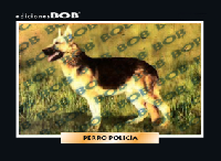 RV008 Perro policía (50 pzas)