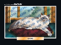 RV009 Gato (50 pzas)