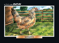 RV010 Gallina (50 pzas)