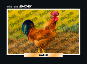 RV011 Gallo (50 pzas)