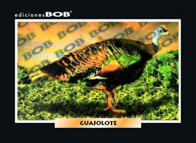 RV012 Guajolote (50 pzas)