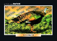 RV012 Guajolote (50 pzas)