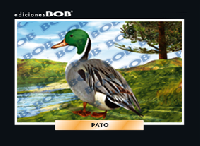 RV014 Pato (50 pzas)