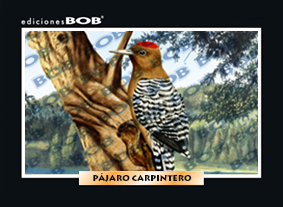 RV017 Pájaro carpintero (50 pzas)