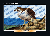 RV018 Gavilán (50 pzas)