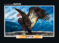 RV020 Cóndor (50 pzas)