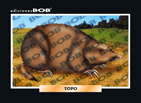 RV024 Topo (50 pzas)