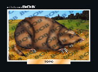 RV024 Topo (50 pzas)