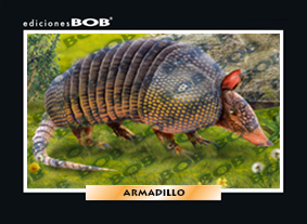 RV025 Armadillo (50 pzas)