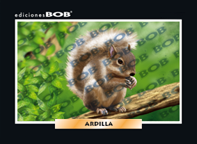 RV026 Ardilla (50 pzas)
