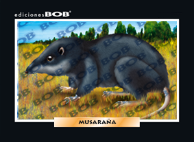 RV027 Musaraña (50 pzas)