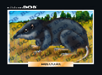 RV027 Musaraña (50 pzas)