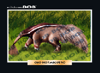 RV029 Oso hormiguero (50 pzas)