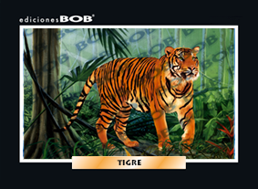 RV031 Tigre (50 pzas)