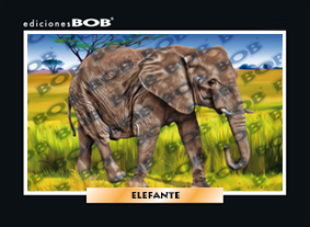 RV032 Elefante (50 pzas)
