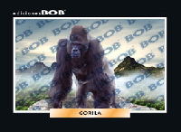 RV033 Gorila (50 pzas)