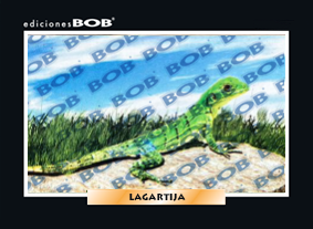 RV039 Lagartija (50 pzas)