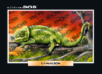 RV040 Camaleón (50 pzas)