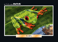 RV042 Rana (50 pzas)