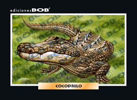 RV045 Cocodrilo (50 pzas)