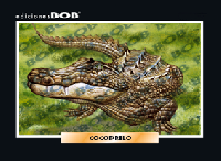 RV045 Cocodrilo (50 pzas)