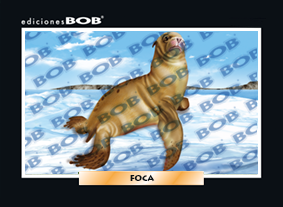 RV046 Foca (50 pzas)