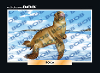 RV046 Foca (50 pzas)