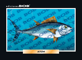 RV049 Atún (50 pzas)