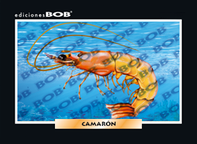 RV053 Camarón (50 pzas)