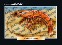 RV054 Langostino (50 pzas)