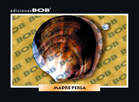 RV056 Madre perla (50 pzas)