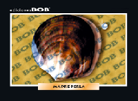 RV056 Madre perla (50 pzas)