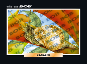 RV057 Caracol (50 pzas)