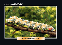 RV058 Gusano de seda (50 pzas)