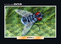 RV062 Mosca (50 pzas)