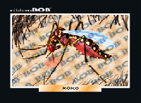 RV063 Mosco (50 pzas)