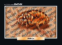 RV065 Pulga (50 pzas)