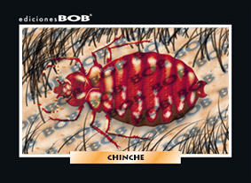 RV066 Chinche (50 pzas)