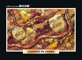 RV068 Lombriz de tierra (50 pzas)